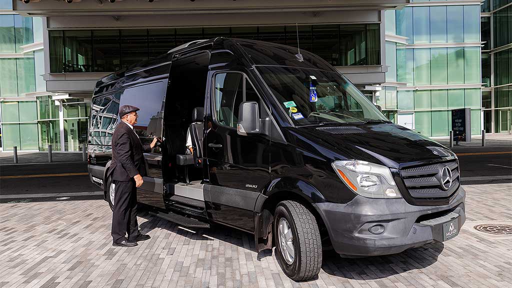 Luxury Sprinter Van